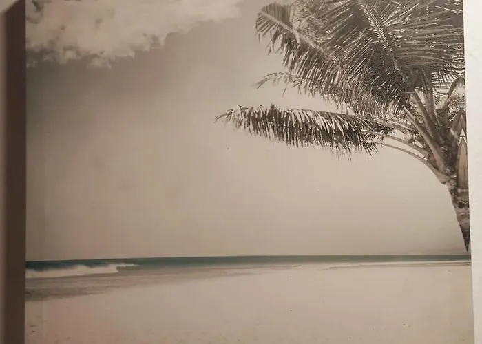 Hébergement de vacances Roberto House *